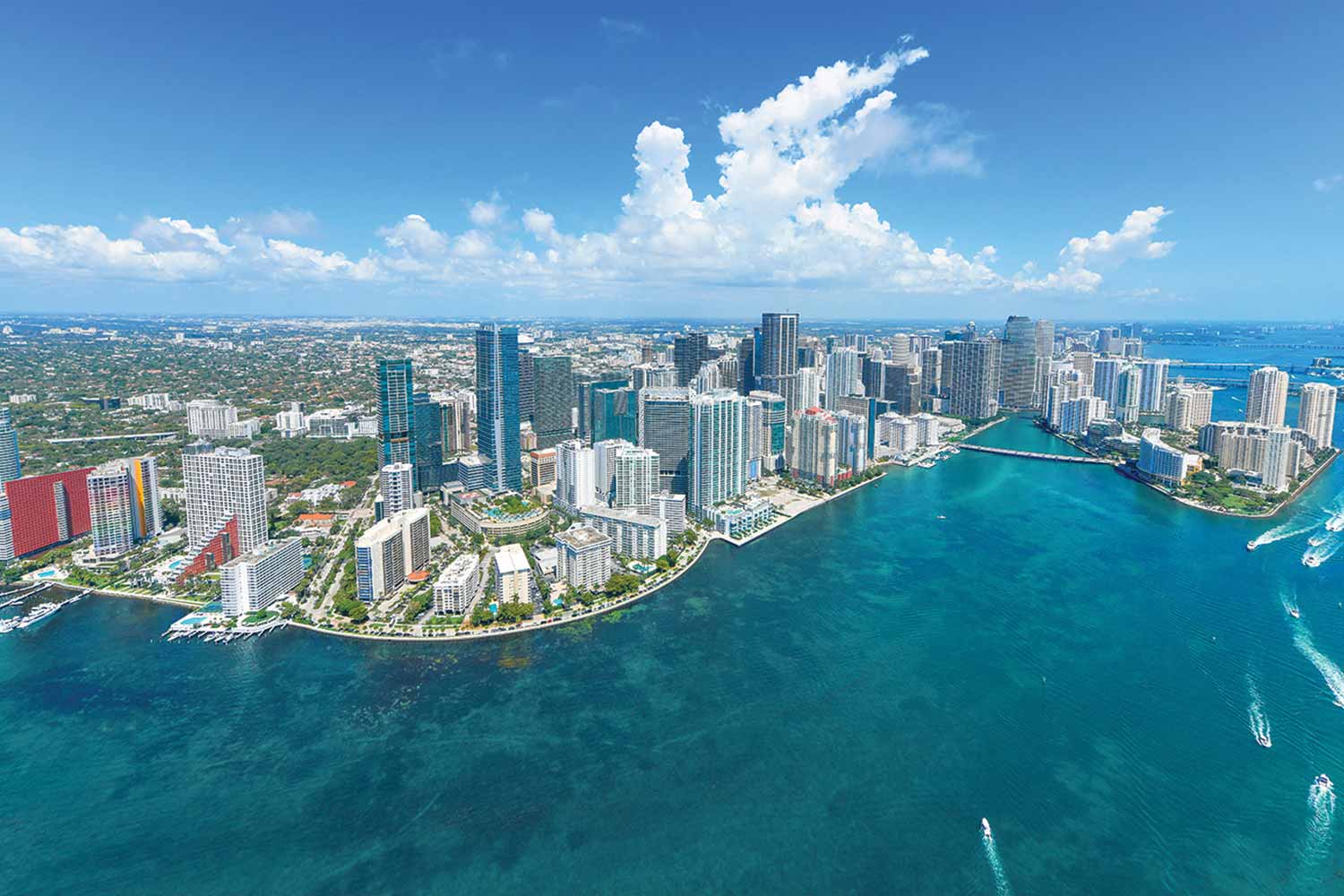 miami banner miami banner
